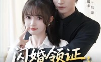 【闪婚领证，陆先生的宠妻日常】86集短剧全集免费赏看