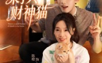 【我家来了只财神猫】80集在线短剧免费畅看