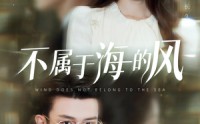 【不属于海的风】40集全集短剧在线观看无广告