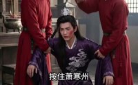 【重生后我嫁给了太子】49集短剧在线完整播放