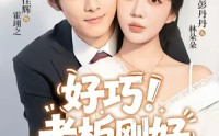 【好巧！老板刚好爱上我】72集短剧全网免费观看