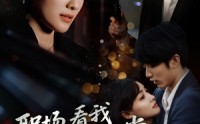 【职场看我降龙十八掌】全集50集高清在线播放，职场攻略尽在掌握
