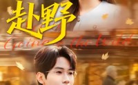 【赴野】40集短剧免费高清在线观看