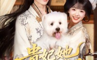 【贵妃她不想卷了】60集完整版短剧，在线观看不卡顿