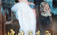 【宫廷夜雨十年灯（娘娘总是要进步）】全集45集短剧在线播放无广告