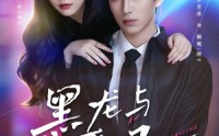 【黑龙与恶凤】61集短剧全集在线免费观影