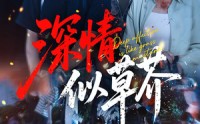 【深情似草芥】51集短剧资源在线免费播放