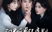 【问君何事轻离别】30集全集短剧，在线观看无广告