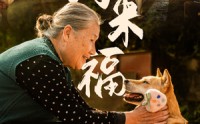 【小狗来福】30集短剧高清全集在线极速观看