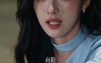 【向阳而驰】96集免费短剧完整在线播放