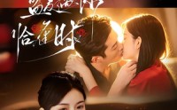 【盛夏遇你恰逢时】70集精彩短剧在线免费赏看