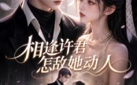 【相逢许君怎敌她动人】103集短剧免费高清在线看