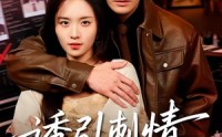 【诱引刺情】60集热门短剧免费高清观看
