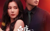 【白夜燃情】64集短剧全网免费在线观看