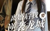 【离婚后我要逆袭龙城】90集短剧全集在线观看，高清不收费