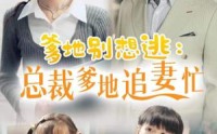 【总裁爹地追妻忙】70集短剧在线播放，全集免费畅享