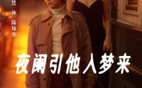 【夜阑引他入梦来】70集短剧大放送，全集在线免费看