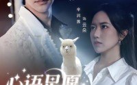【心语星愿之羊驼】60集全集短剧免费观看
