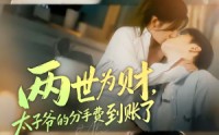【两世为财，太子爷的分手费到账了】61集短剧完整版在线免费看