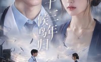 【十三年，候鸟归】40集短剧全集免费在线赏