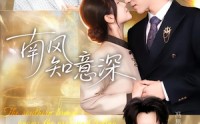 【南风知意深】40集热门短剧免费全集速看