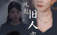 【疾风起，旧人离】32集短剧资源在线观看无广告