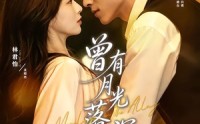 【曾有月光落深巷】72集优质短剧免费在线观赏