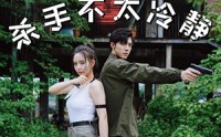 【唐人街杀手不太冷静】20集短剧无广告在线欣赏