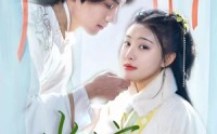 【傻子王爷娇宠妃&当家】50集短剧免费全集，一键在线播放