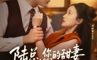 【陆总您的甜妻已到达深城】62集短剧免费在线观看全集