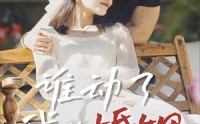 【谁动了我的婚姻】24集短剧完整版在线观看