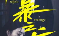 【风暴之后】80集短剧资源汇总在线观看