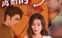 【新婚夜，离婚时】35集短剧免费全集在线追剧神器