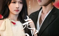 【走火入爱】62集短剧蓝光画质在线观看体验