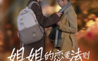 【姐姐的恋爱法则】39集高清短剧在线观看不收费