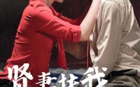 【贤妻扶我凌云志】71集短剧在线观看，全集免费无删减