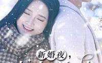 【新婚夜，冰山总裁要吻我】96集高清全集在线流畅观看