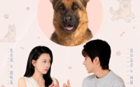 【穿越汪星来爱你】62集短剧免费全集速看