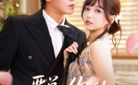 【严总你的小玫瑰又作妖了】77集短剧免费在线看全集