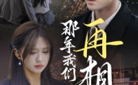 【那年我们再相逢】65集短剧高清全集在线轻松享