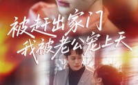 【被赶出家门我被老公宠上天】61集短剧全集免费在线观看，甜蜜升级