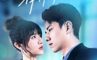 【婚情漫漫，律师前任求复合】51集高清全集在线流畅观看