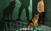 【心率临界点谁都别惹我】96集短剧高清资源在线观看无广告