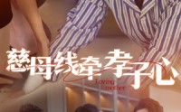 【慈母线牵孝子心】60集全集短剧，手机在线轻松看