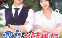 【霍总找错媳妇撩对人】68集短剧高清免费在线观看