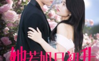 【她若旭日初升】40集短剧免费在线观看无广告