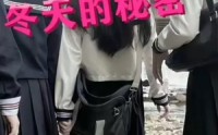 【冬天的秘密】60集短剧免费在线观看完整版