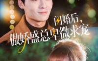 【闪婚后，傲娇盛总卑微求宠】100集短剧免费在线一口气看完