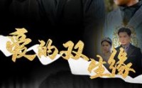 【爱的双生缘】50集完整版短剧在线观看无广告