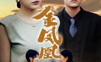 【金凤凰】80集短剧在线播放，全集免费畅享